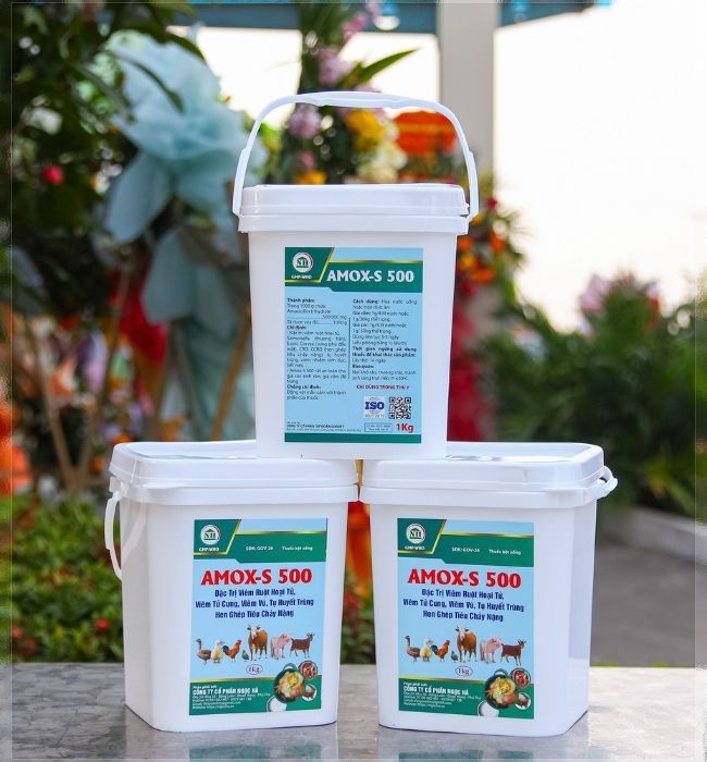 AMOX-S 500 thuốc thú y giúp đặc trị bệnh đường ruột cho gà