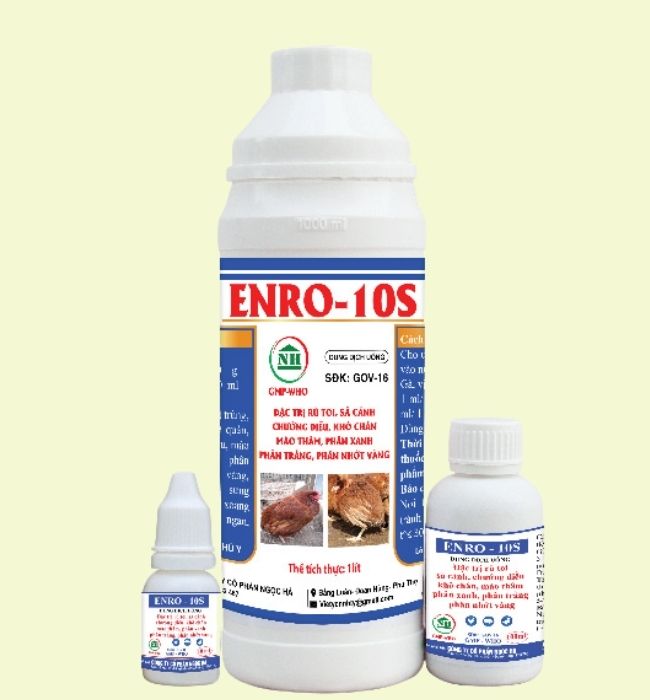 ENRO - 10S