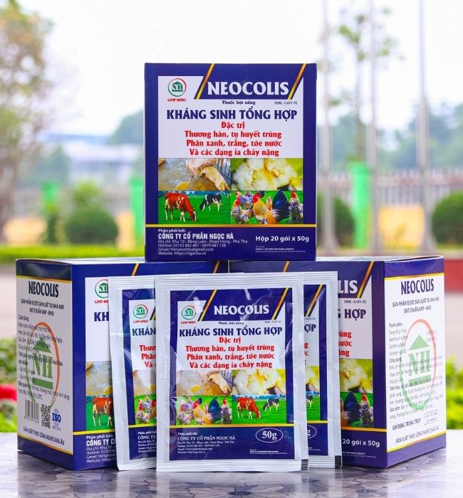 Kháng sinh tổng hợp NEOCOLIS - thuốc đặc trị bệnh đường ruột cho gà