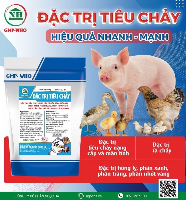 Thuốc đặc trị đường ruột cho gà - ĐẶC TRỊ TIÊU CHẢY Ngọc Hà