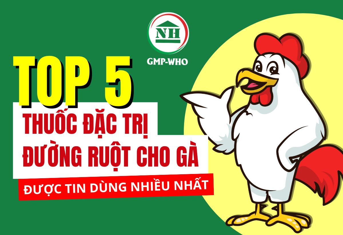 Top 5 thuốc đặc trị đường ruột cho gà được tin dùng nhiều nhất