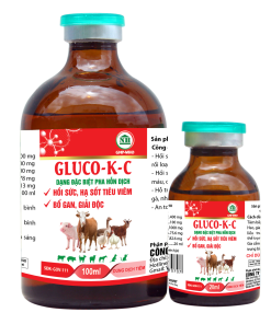 GLUCO-K-C dạng đặc biệt pha hỗn dịch