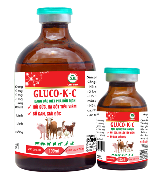 GLUCO-K-C dạng đặc biệt pha hỗn dịch