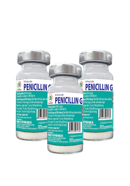 PENNICILLIN PENICILLIN G