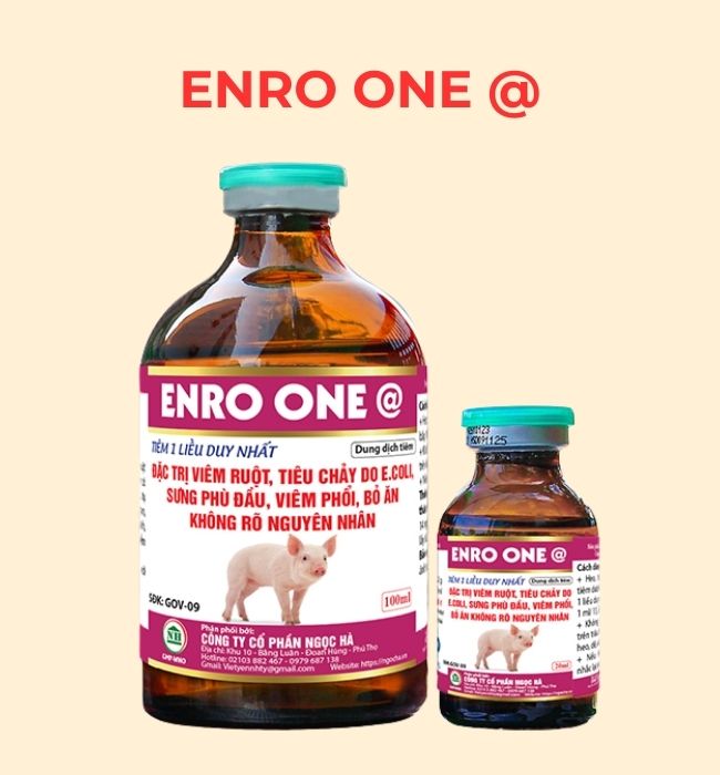 ENRO ONE @ Thuốc đặc trị heo bỏ ăn không rõ nguyên nhân