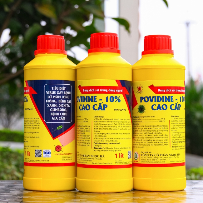 POVIDINE- 10% CAO CẤP