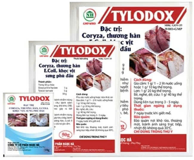 Ảnh 6: TYLO DOX – Phòng và trị các bệnh đường hô hấp