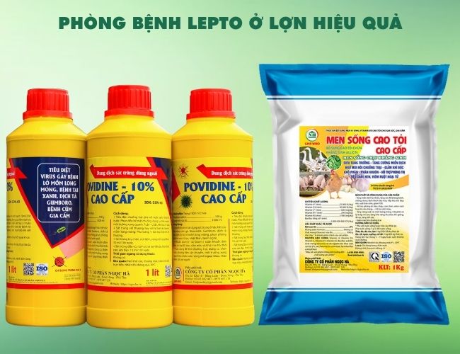 Ảnh 4: Sử dụng các sản phẩm phòng bệnh cho lợn