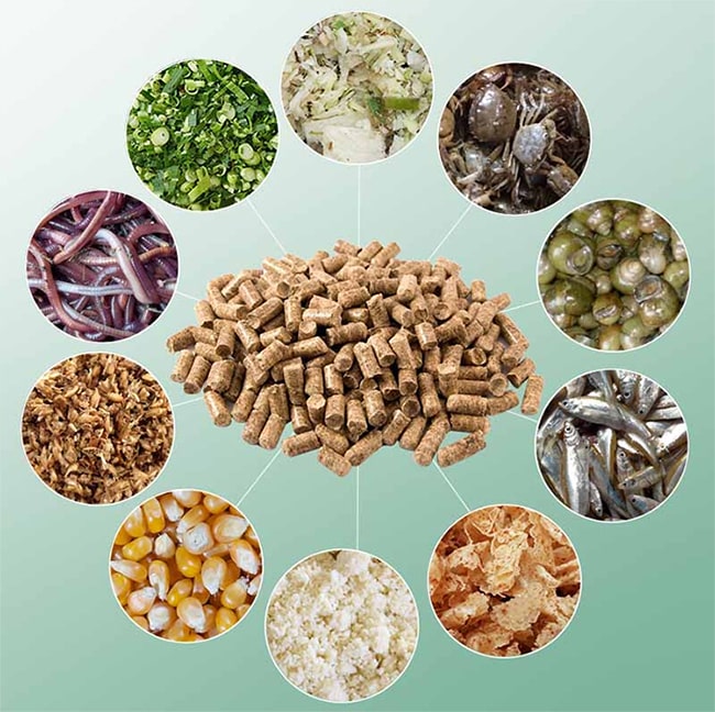 có mấy loại thức ăn hỗn hợp cho vật nuôi