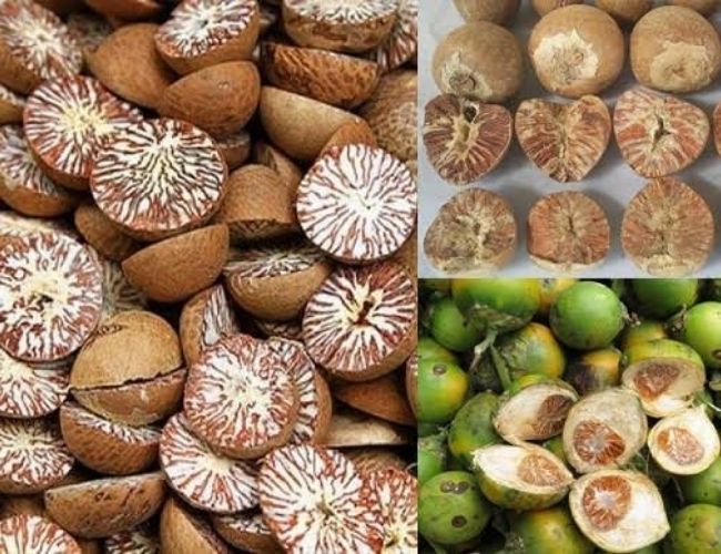 tẩy giun cho gà