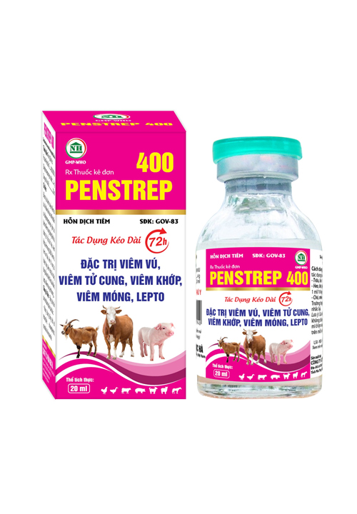 penstrep ngoc ha