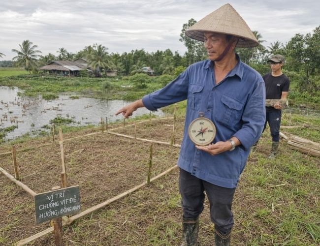 nuôi vịt đẻ trứng trên cạn 